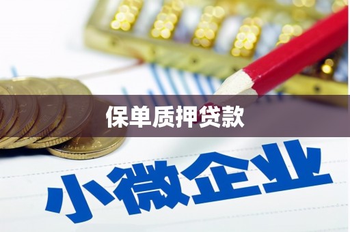 青山湖保单质押贷款