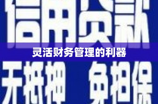 青山湖灵活财务管理的利器