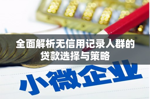 青山湖全面解析无信用记录人群的贷款选择与策略
