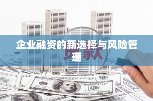 青山湖企业融资的新选择与风险管理