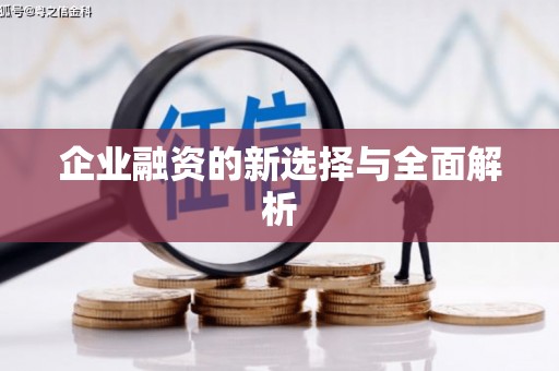 青山湖企业融资的新选择与全面解析