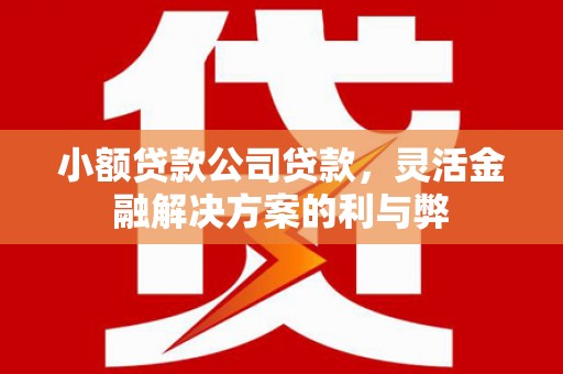 青山湖小额贷款公司贷款，灵活金融解决方案的利与弊